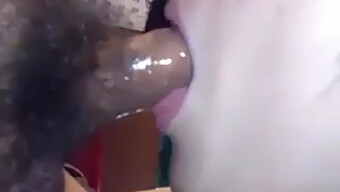 Amateur Chinese Girl Swallows Cum