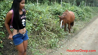 Uploaded - High Definition: Pissing On A Horse