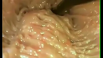 Vagina Gaping:一部插入式纪录片